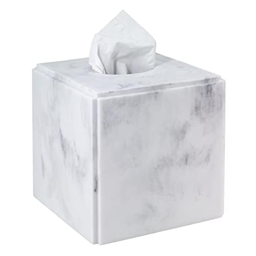 Avanti Linens - Tissue Box Cover, Resin Countertop Decor, Marble Design (Catania Collection)