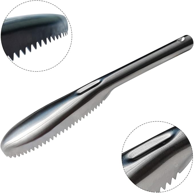 Fish Scaler, 304 Stainless Steel Fish Scaler Remover, Sawtooth Fish Descaler Tool for Family Kitchen, Seafood Markets