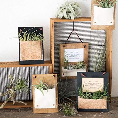 Heads DIP-WFR2 Heads Display Wood Frame, Black, 4 Pieces