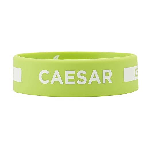 Restaurantware Silicone Squeeze Bottle Band 10 Count 2.75 Inch Dishwasher Safe Condiment Identification Band, Caesar Green Non-Slip Label Band for Condiment Labeling at Restaurants, Food Trucks