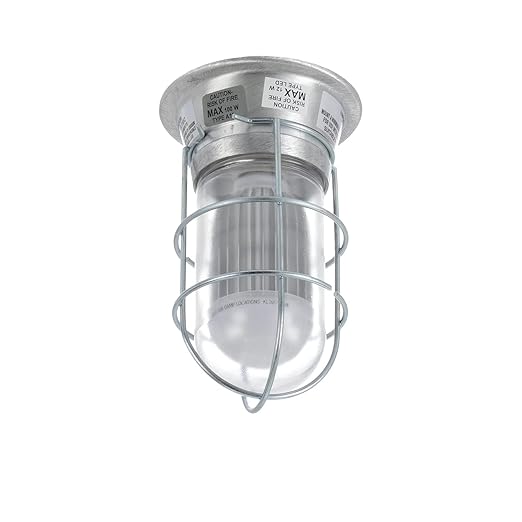 OCS Parts Commercial Kitchen Canopy Hood and Walk-in Refrigeration Lighting | Light Fixture, Globe, LED Light Bulb, and Wire Guard (Fixture + Bulb + Wire Guard)