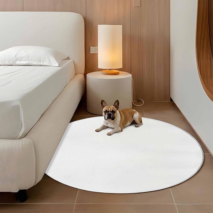 Washable Round Area Rug Pure White Circle Rugs Floor Carpet for Living Room Bedroom, Monochrome Plain Single Bright Color Soft Non Slip Round Rug 3ft