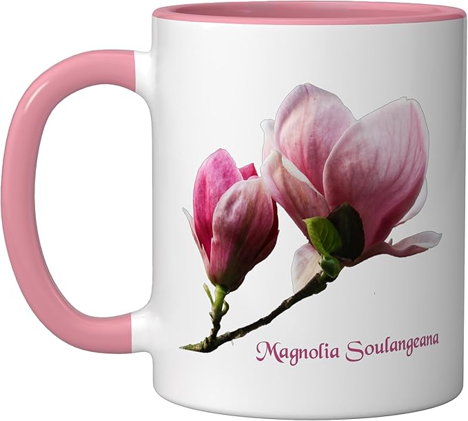 Magnolia Soulangeana Flower Saucer Magnolia Flower Ceramic Mug, Pink/White