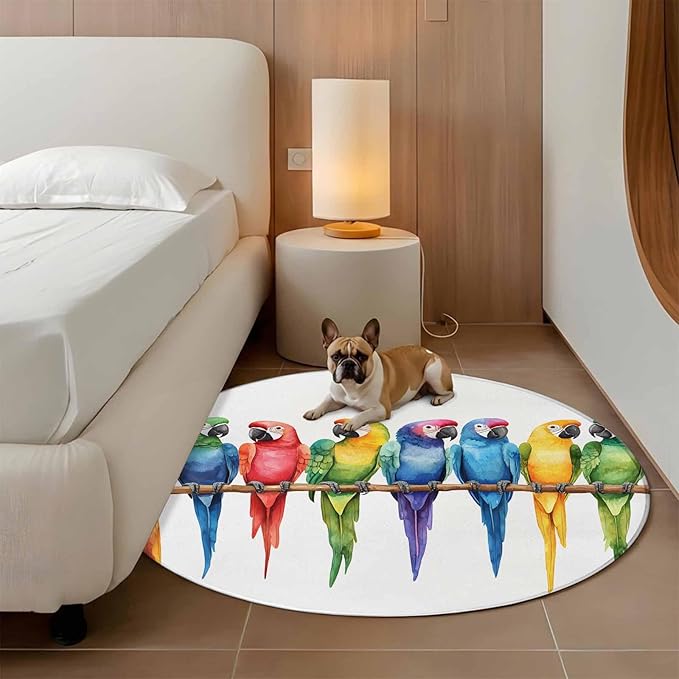 Washable Round Area Rug Funny Watercolor Parrot Circle Rugs Floor Carpet for Living Room Bedroom, Red Green Blue Gradient Bird Soft Non Slip Round Rug 5ft