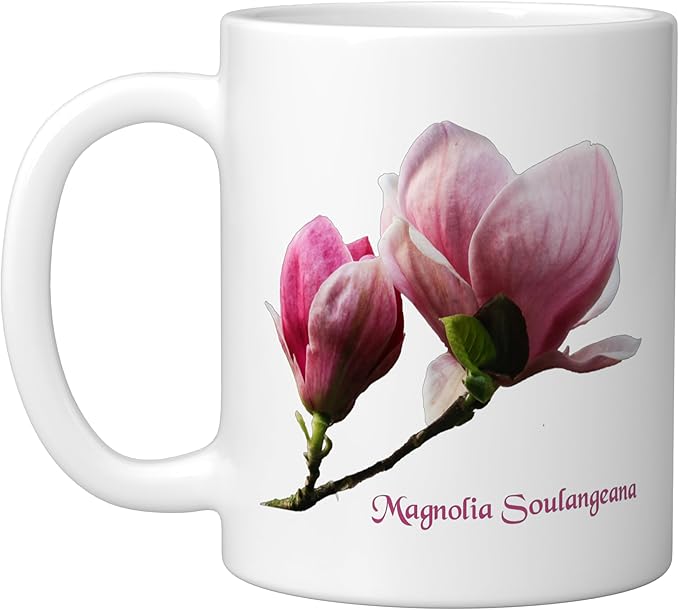 Magnolia Soulangeana Flower Saucer Magnolia Flower Ceramic Mug, White