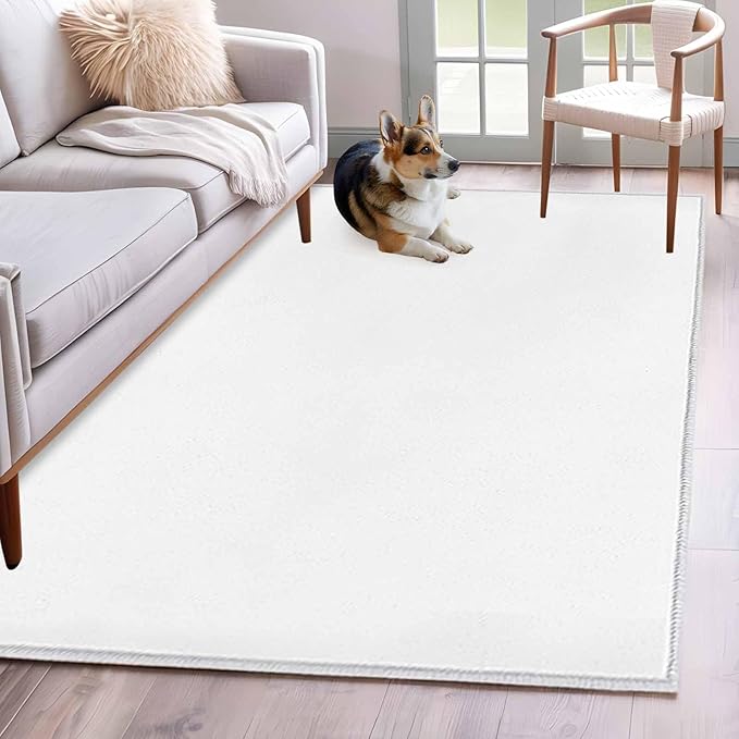 Area Rug 4x6ft, Pure White Washable Rugs for Living Room Bedroom, Minimalist Solid Color Soft Non-Slip Area Rugs Rectangle Floor Carpet for Dining Room