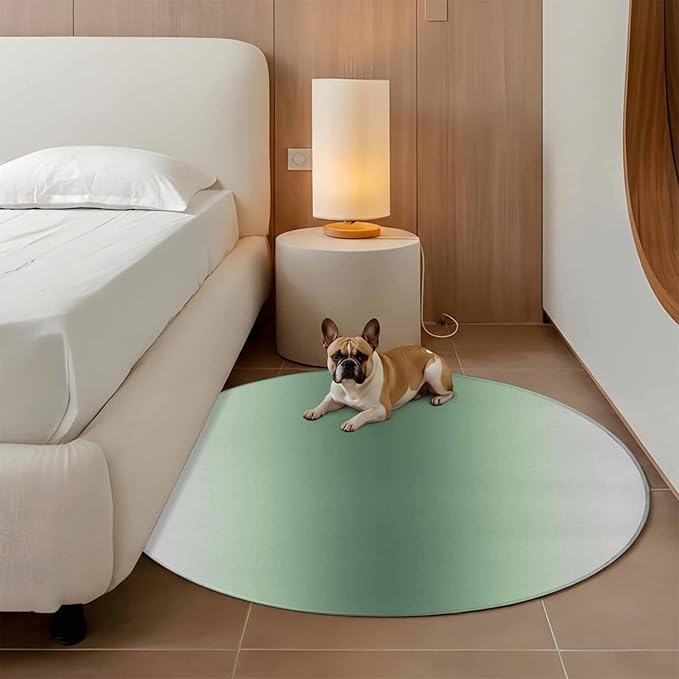 Washable Round Area Rug Rat Tail Green Gray Gradual Circle Rugs Floor Carpet for Living Room Bedroom, Abstract Art Soft Non Slip Round Rug 5ft
