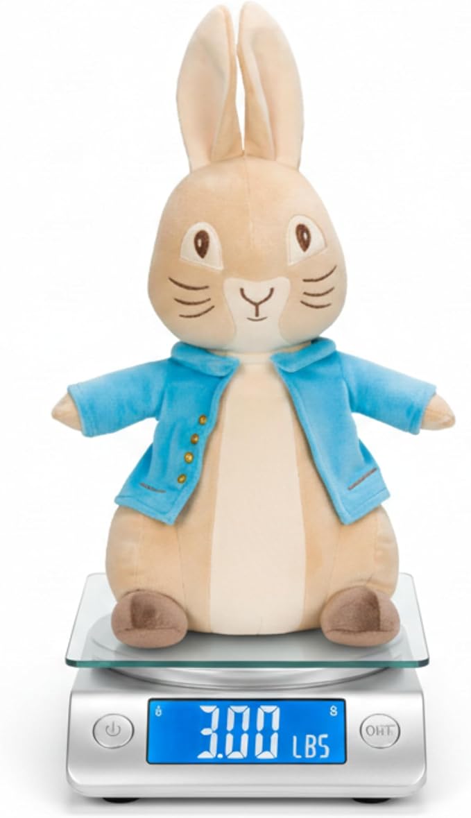 Peter Rabbit Bedding Weighted Cuddle Pillow – 3lb Soft Plush & Cozy Pillow for Comfort (Officially Licensed Product) by Franco Calm