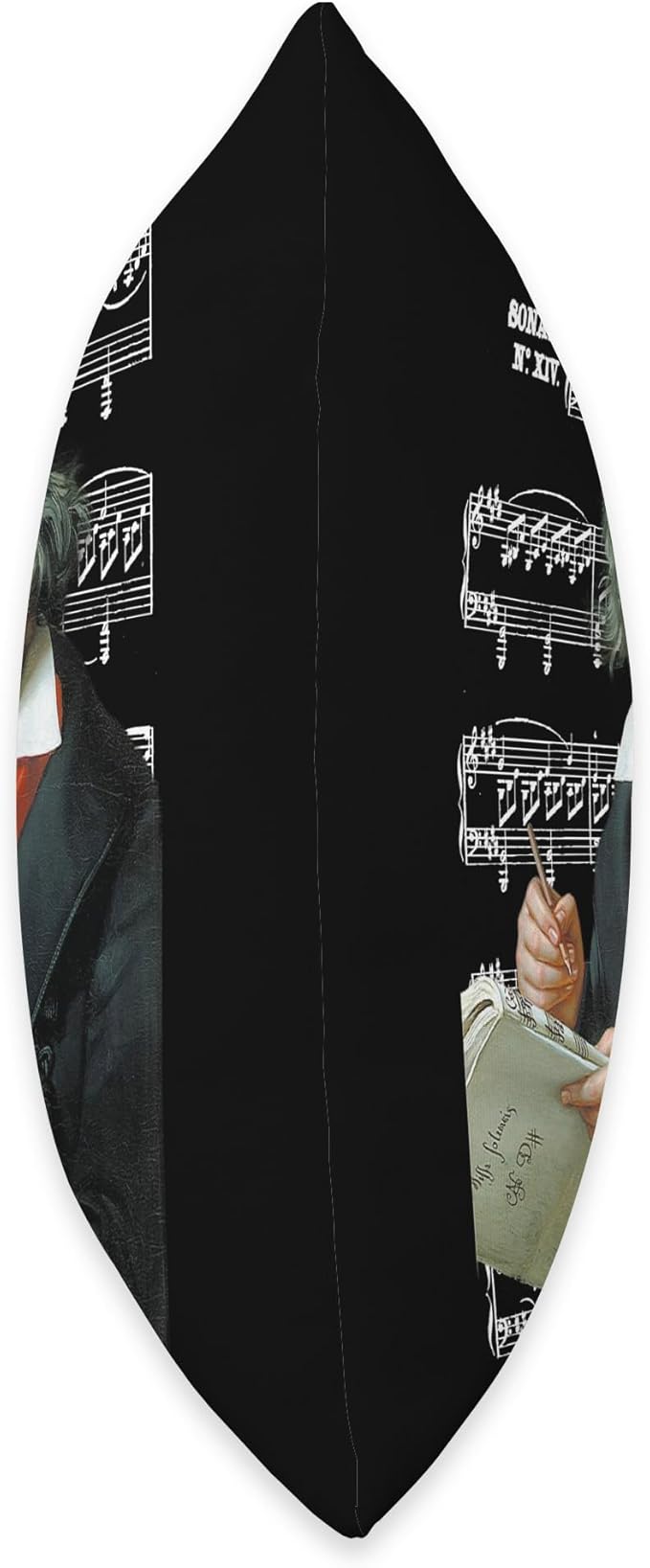 Beethoven moonlights sheet music Piano teacher Pianist Throw Pillow