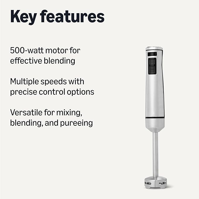 Amazon Basics 500 Watt Multi-Speed Immersion Hand Blender, Corded, Silver