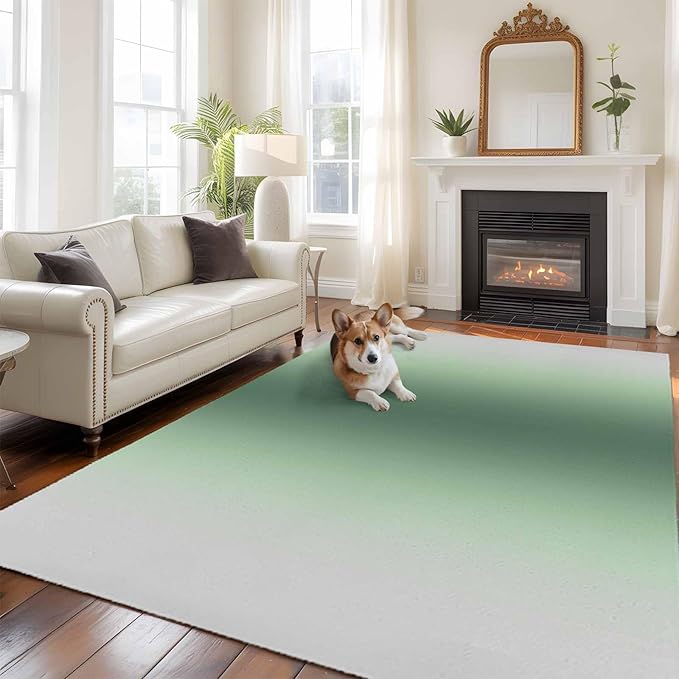 Area Rug 6x9ft, Rat Tail Green Gray Gradual Washable Rugs for Living Room Bedroom, Abstract Art Soft Non-Slip Area Rugs Rectangle Floor Carpet for Dining Room
