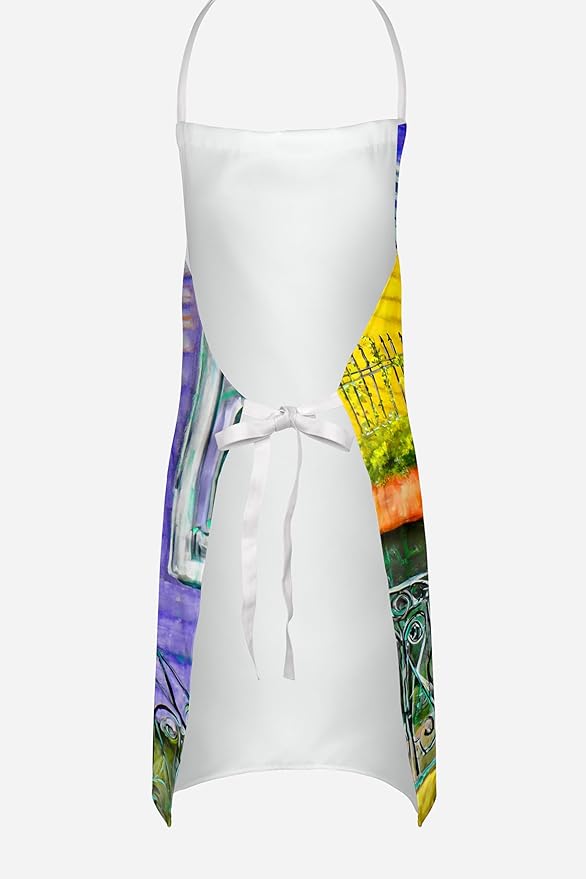 Caroline's Treasures The House Next Door Apron Cooking Kitchen Server Baking Crafts Gardening for Adult Women Men, Unisex, Large, Multicolor