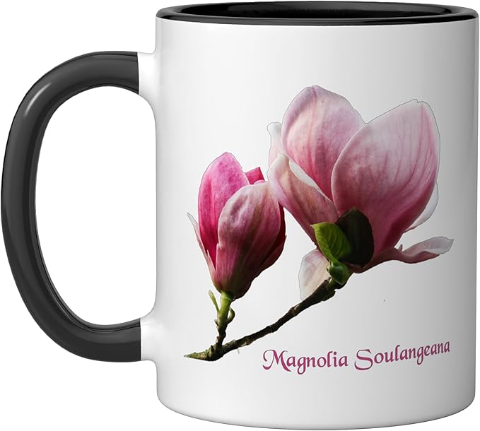 Magnolia Soulangeana Flower Saucer Magnolia Flower Ceramic Mug, Black/White