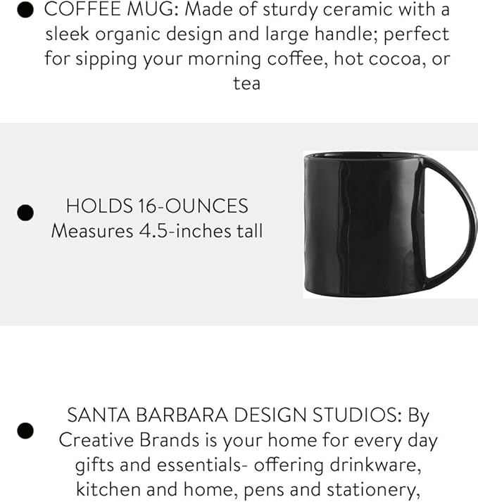 Santa Barbara Design Studio Artisan Ceramic Wide Handle Coffee Mug, 16-Ounce, Gloss Black