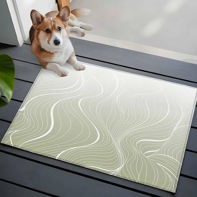 Area Rug 2x3ft, Sage Green Wavy Gradient Stripes Washable Rugs for Living Room Bedroom, Geometric Abstract Art Soft Non-Slip Area Rugs Rectangle Floor Carpet for Dining Room