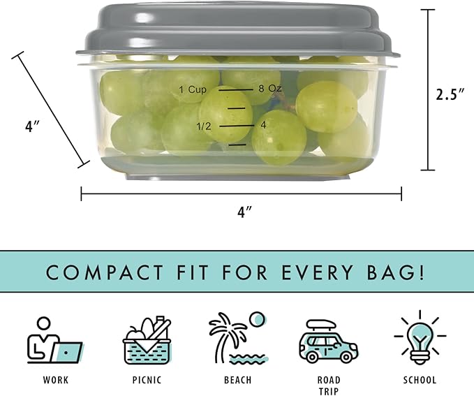 Fit & Fresh Small Plastic Containers With Lids 8 oz, Small Snack Containers With Lids For Adults and Kids, Reusable Leakproof Dressing and Condiment Containers With Two Attachable Ice Packs