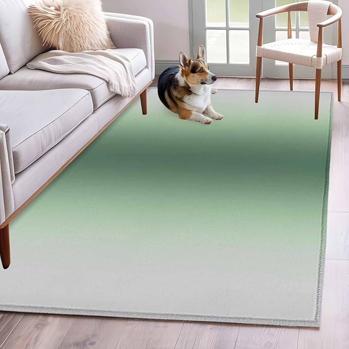 Area Rug 3x5ft, Rat Tail Green Gray Gradual Washable Rugs for Living Room Bedroom, Abstract Art Soft Non-Slip Area Rugs Rectangle Floor Carpet for Dining Room