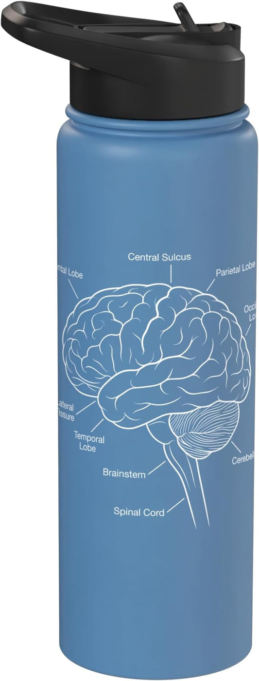 Neuroscience Human Brain Anatomy Labeled Diagram Stainless Steel Insulated Water Bottle