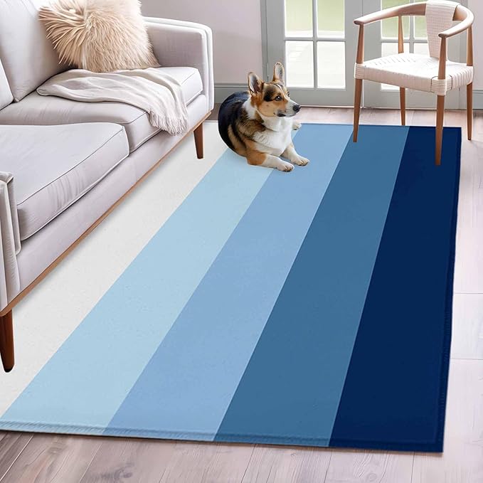 Area Rug 3x5ft, Minimalist Blue White Ombre Stripe Washable Rugs for Living Room Bedroom, Modern Gradient Art Soft Non-Slip Area Rugs Rectangle Floor Carpet for Dining Room