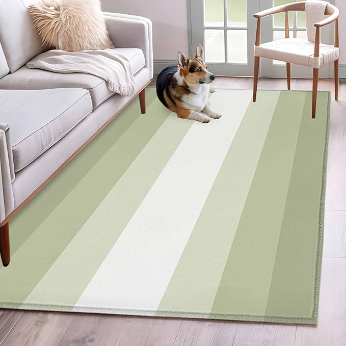 Area Rug 4x6ft, Modern Sage Green Gradient Style Washable Rugs for Living Room Bedroom, Farmhouse Ombre Stripe Soft Non-Slip Area Rugs Rectangle Floor Carpet for Dining Room