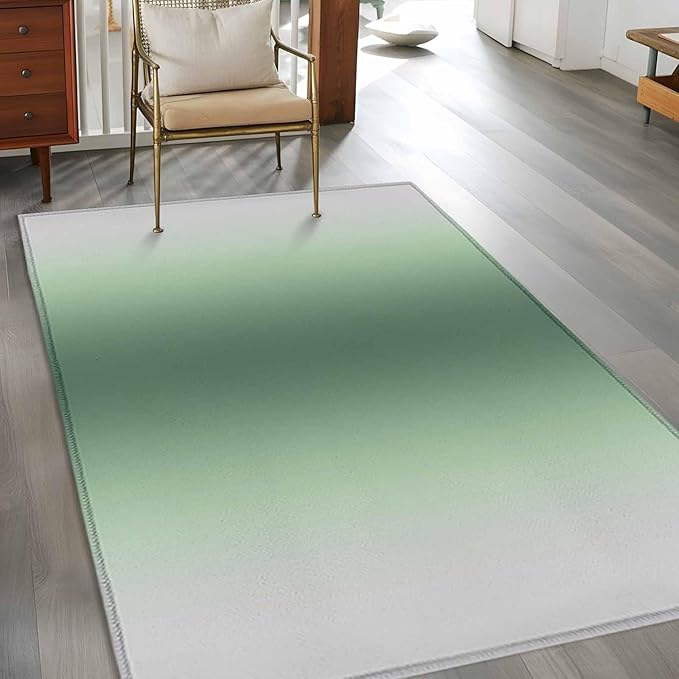 Area Rug 3x5ft, Rat Tail Green Gray Gradual Washable Rugs for Living Room Bedroom, Abstract Art Soft Non-Slip Area Rugs Rectangle Floor Carpet for Dining Room