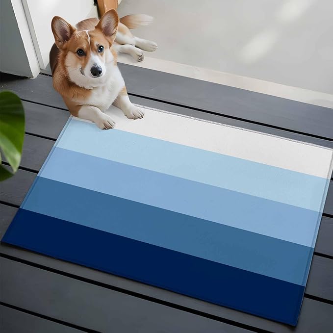 Area Rug 2x3ft, Minimalist Blue White Ombre Stripe Washable Rugs for Living Room Bedroom, Modern Gradient Art Soft Non-Slip Area Rugs Rectangle Floor Carpet for Dining Room