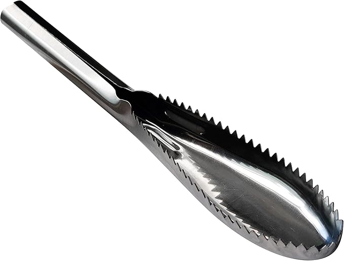 Fish Scaler, 304 Stainless Steel Fish Scaler Remover, Sawtooth Fish Descaler Tool for Family Kitchen, Seafood Markets