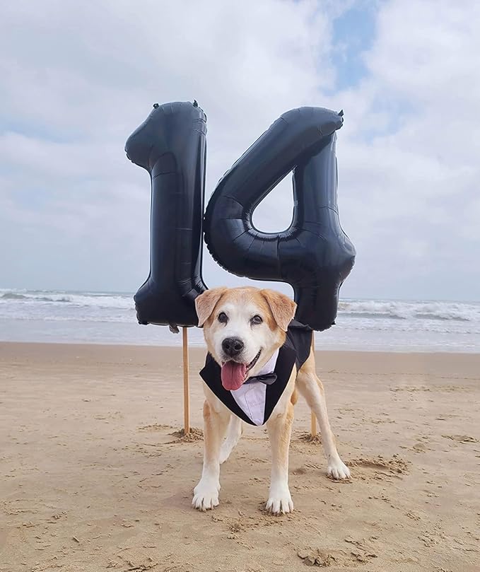 1 Balloons Number for First Birthday, Balloon Numbers 40 Inch, Black for Baby Shower, Big Baloon for 1 11 12 13 16 18 21 Birthday Wedding Anniversaries Party