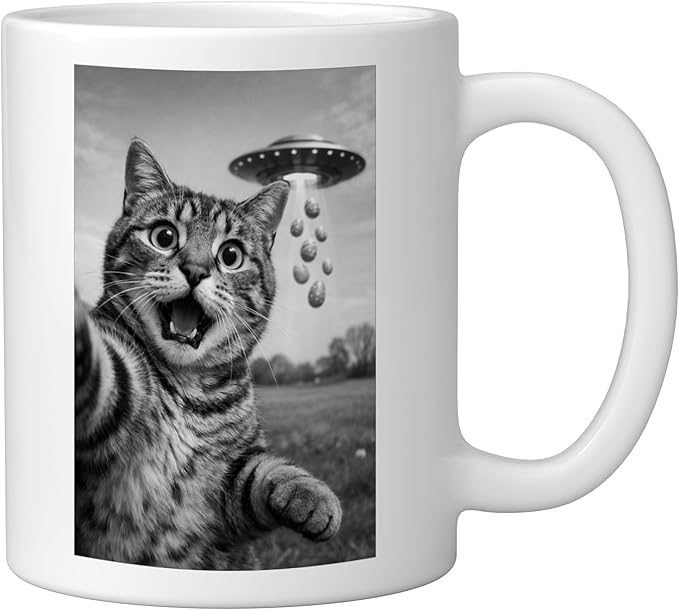 Funny Cat Selfie Easter Eggs Alien UFO Abduction Men Women Ceramic Mug, White