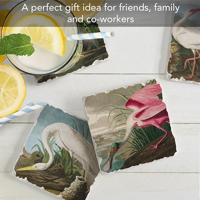 Thirstystone James John Adubon 4 Pack Assorted Tumbled Tile Stone Coasters with Protective Cork Backing Manufactured in The USA Absorbent Easily Wipes Clean