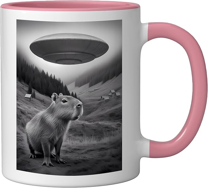 Vintage Capybara UFO Abduction Surreal Ironic Meme Ceramic Mug, Pink/White