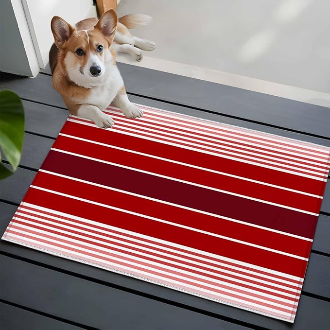 Area Rug 2x3ft, Abstract Gradient Red White Stripes Washable Rugs for Living Room Bedroom, Ombre Modern Art Soft Non-Slip Area Rugs Rectangle Floor Carpet for Dining Room