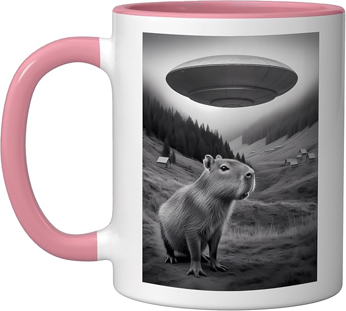 Vintage Capybara UFO Abduction Surreal Ironic Meme Ceramic Mug, Pink/White
