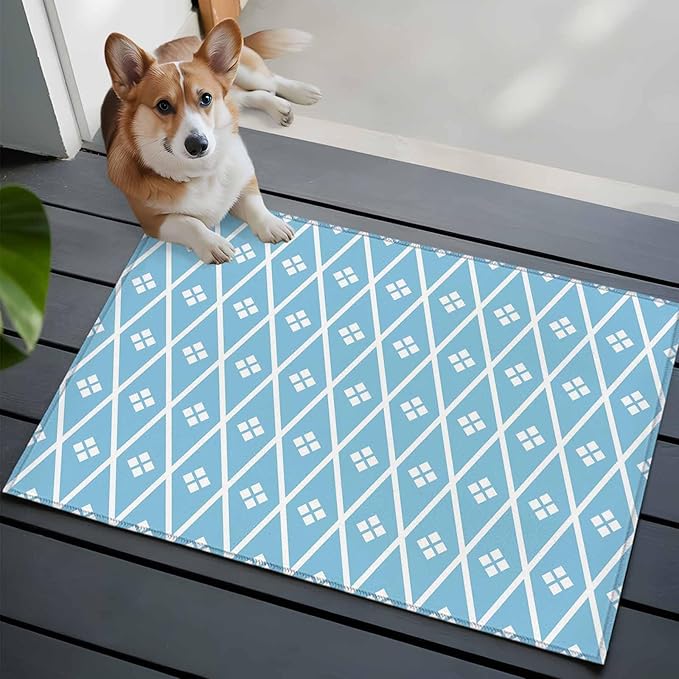 Area Rug 2x3ft, Boho Blue White Plaid Line Washable Rugs for Living Room Bedroom, Abstract Geometric Diamond Soft Non-Slip Area Rugs Rectangle Floor Carpet for Dining Room