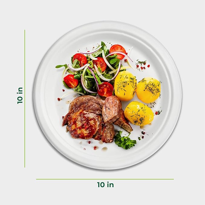 Freshware Paper Plates - Disposable 10" Plate, 500-Pack, Biodegradable Sugarcane Dinner Plates - Heavy Duty Dinnerware for Hot Food - Microwave & Freezer Safe, Stackable Dinnerware