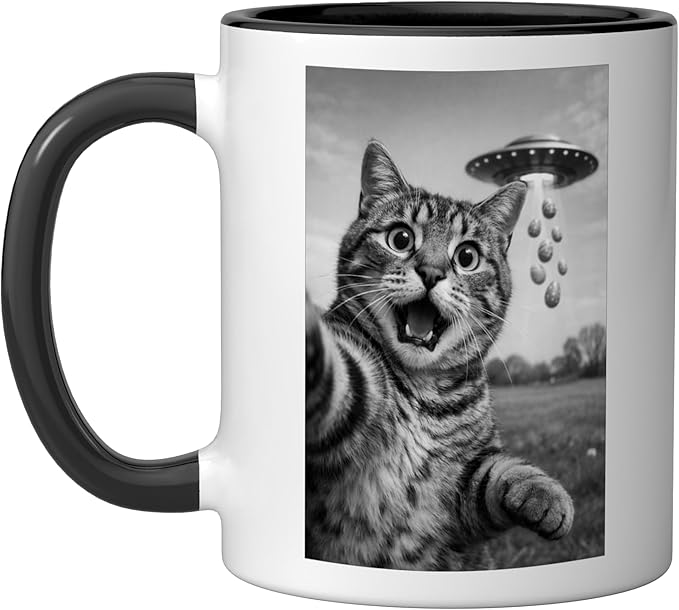 Funny Cat Selfie Easter Eggs Alien UFO Abduction Men Women Ceramic Mug, Black/White
