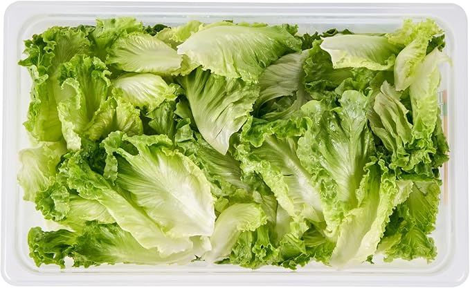 Restaurantware Food Storage Container 10 Pack of 20.7 x 12.6 x 5.9 Inches Plastic Stackable Storage Box White Reusable Label Container Dishwasher Safe For Restaurants And Kitchens