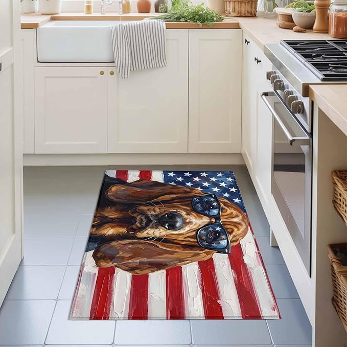 Area Rug 2x3ft, Independence Day USA Flag Washable Rugs for Living Room Bedroom, Basset Hound Patriotic Sunglasses Soft Non-Slip Area Rugs Rectangle Floor Carpet for Dining Room
