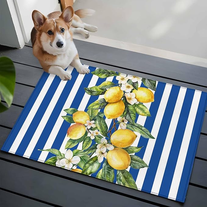 Area Rug 2x3ft, Summer Lemon Green Leaves Watercolor Washable Rugs for Living Room Bedroom, Blue Stripe Soft Non-Slip Area Rugs Rectangle Floor Carpet for Dining Room