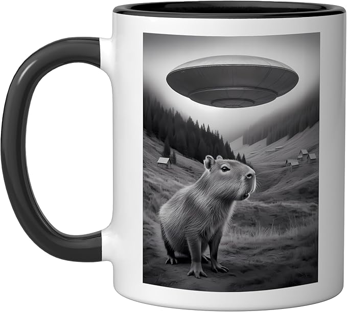 Vintage Capybara UFO Abduction Surreal Ironic Meme Ceramic Mug, Black/White