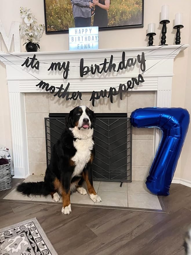 7 Balloon Numbers, 6 7 Birthday Decorations, Six Seven Decoration 40 Inch 7 Balloons for Birthday Party, Dark Blue Number Balloons for 7, 17, 27 Game Competition Wedding Anniversaries Party