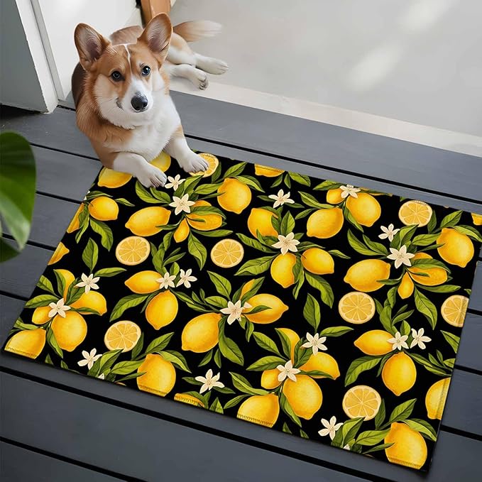 Area Rug 2x3ft, Summer Lemon Flower Washable Rugs for Living Room Bedroom, Plant on Black Soft Non-Slip Area Rugs Rectangle Floor Carpet for Dining Room