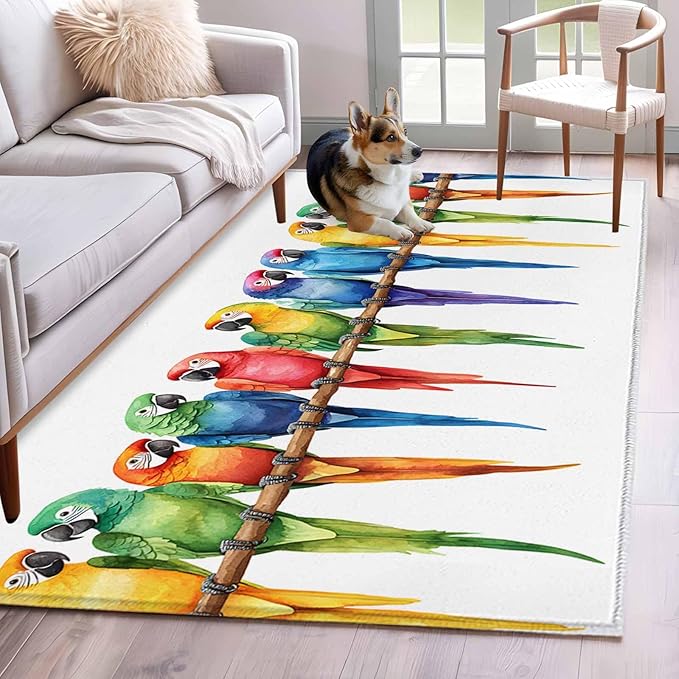 Area Rug 3x5ft, Funny Watercolor Parrot Washable Rugs for Living Room Bedroom, Red Green Blue Gradient Bird Soft Non-Slip Area Rugs Rectangle Floor Carpet for Dining Room