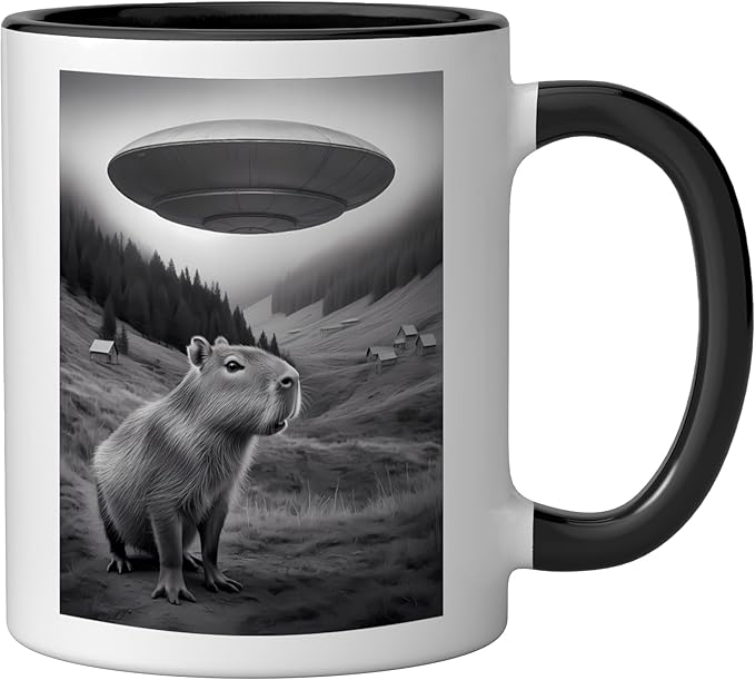 Vintage Capybara UFO Abduction Surreal Ironic Meme Ceramic Mug, Black/White