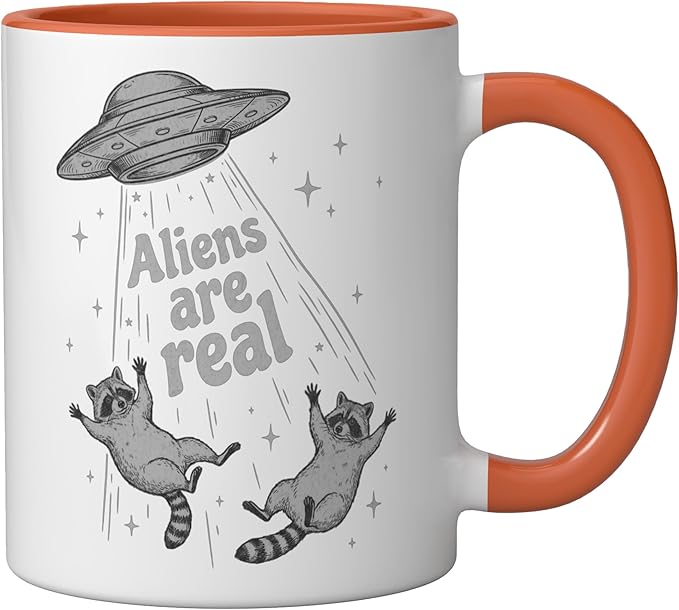 Aliens Are Real UFO Raccoon Abduction Ironic Meme Ceramic Mug, Orange/White