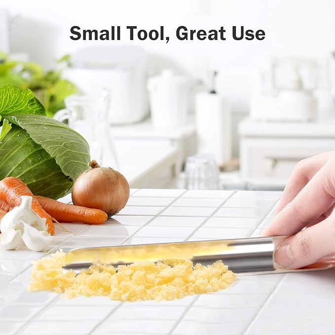 Restaurant Crumb Sweepers, Restaurant Crumb Cleaner, High Quality Stainless Steel Crumb Scraper, Crumber Tool for Waiters, Waitresses and Servers (1 PACK, Silver)