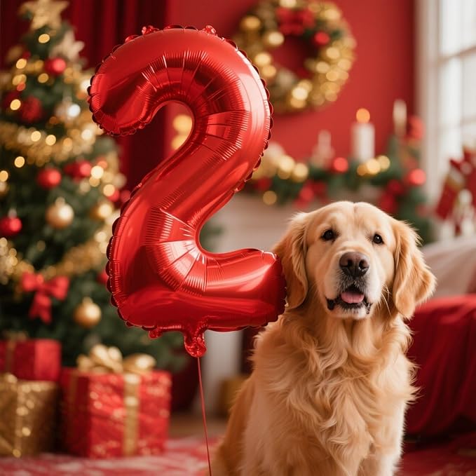 Red Birthday Two Balloons Number, Balloon 2 Numbers for Girl Boy Baby Shower, Numbers 40 Inch for 2 12 22 2025 Graduation Party Wedding Anniversaries Celebration