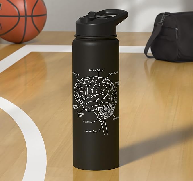 Neuroscience Human Brain Anatomy Labeled Diagram Stainless Steel Insulated Water Bottle