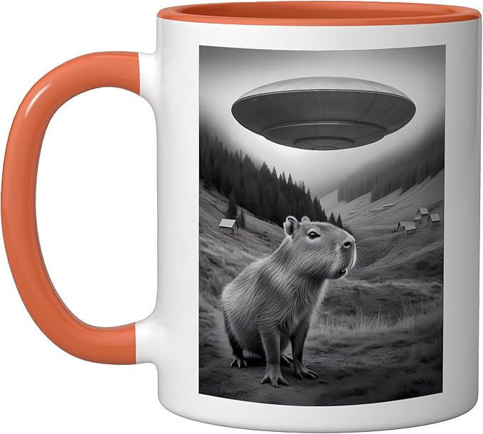 Vintage Capybara UFO Abduction Surreal Ironic Meme Ceramic Mug, Orange/White