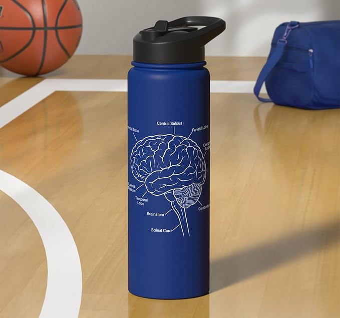 Neuroscience Human Brain Anatomy Labeled Diagram Stainless Steel Insulated Water Bottle